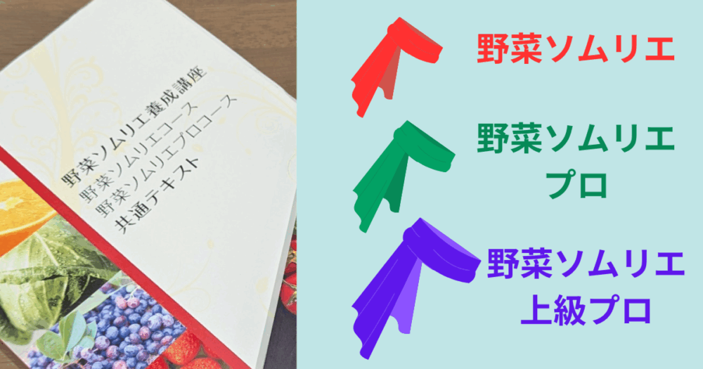 野菜ソムリエ資格の3種類を示す赤・緑・紫のスカーフと資格名のイメージ。赤は野菜ソムリエ、緑は野菜ソムリエプロ、紫は野菜ソムリエ上級プロ。