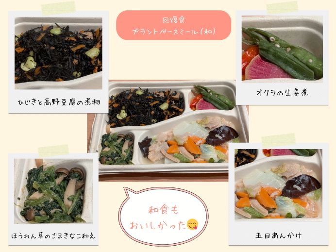 ひじきと高野豆腐の煮物、五目あんかけなど、回復食の和風ミールキットの写真
